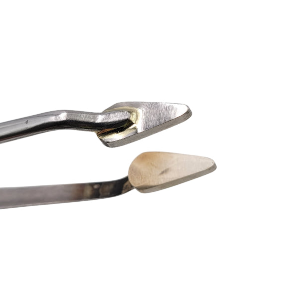 Carlo Donà Fine Tweezer Roses, Lrg