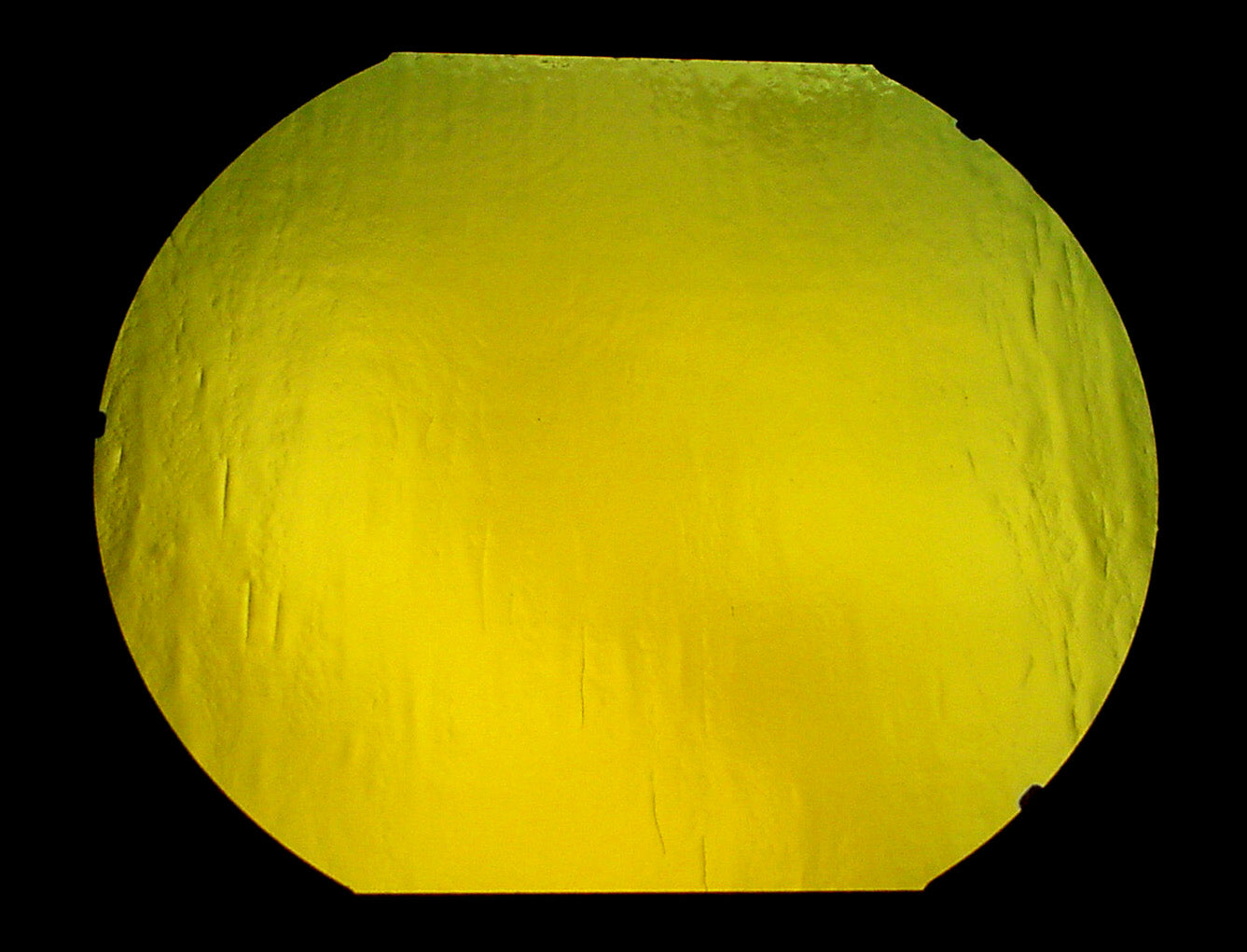 Blue/Gold on Black Dichroic COE 96