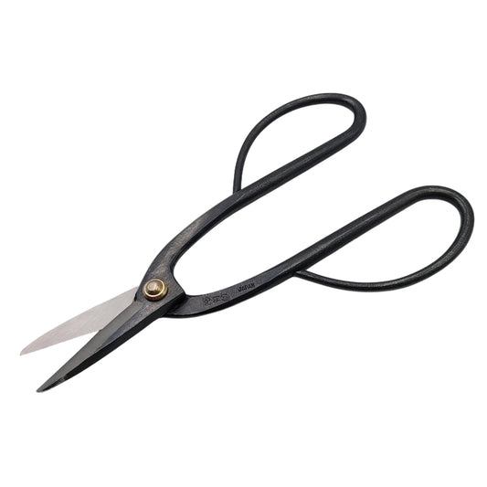 Ashinaga Shears - Intermediate