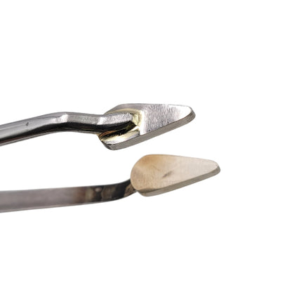 Carlo Donà Fine Tweezer Roses, Lrg