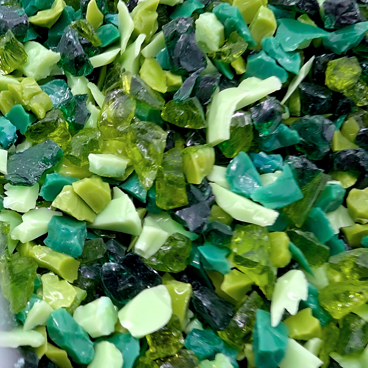 Olympic Rainforest Mix